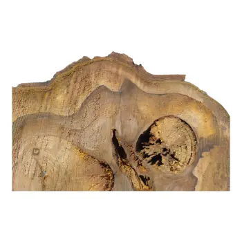 Plaster Orzecha Włoskiego 50x33x6cm