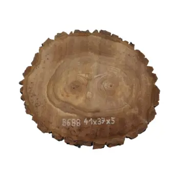 Plaster Orzecha Włoskiego 41x37x5cm