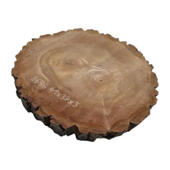 Plaster Orzecha Włoskiego 41x37x5cm