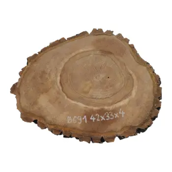 Plaster Orzecha Włoskiego 42x33x4cm