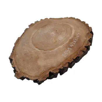 Plaster Orzecha Włoskiego 42x33x4cm