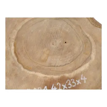 Plaster Orzecha Włoskiego 42x33x4cm