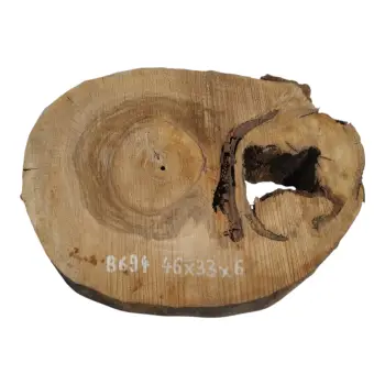 Plaster Orzecha Włoskiego 46x33x6cm