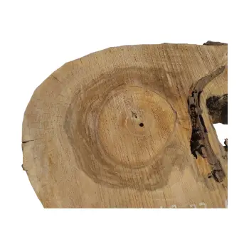 Plaster Orzecha Włoskiego 46x33x6cm