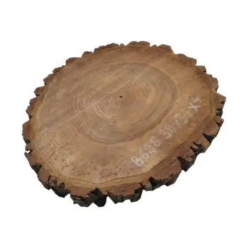 Plaster Orzecha Włoskiego 38x34x4cm