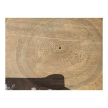 Plaster Orzecha Włoskiego 38x34x4cm