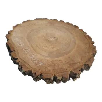 Plaster Orzecha Włoskiego 38x36x4cm