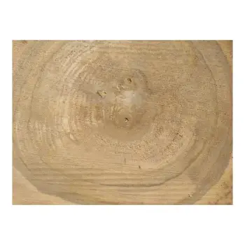 Plaster Orzecha Włoskiego 38x36x4cm