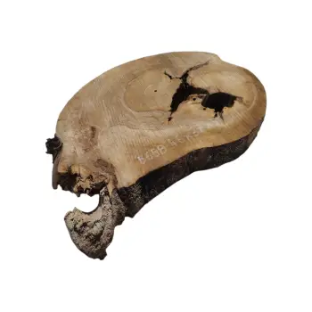 Plaster Orzecha Włoskiego 46x37x5cm