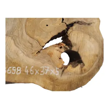 Plaster Orzecha Włoskiego 46x37x5cm