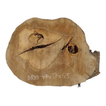 Plaster Orzecha Włoskiego 47x37x6,5cm