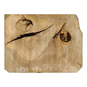 Plaster Orzecha Włoskiego 47x37x6,5cm