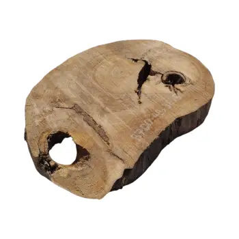 Plaster Orzecha Włoskiego 49x38x5cm