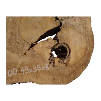 Plaster Orzecha Włoskiego 49x38x5cm