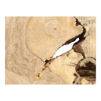 Plaster Orzecha Włoskiego 49x38x5cm