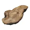 Plaster Orzecha Włoskiego 64x34x7cm
