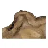Plaster Orzecha Włoskiego 64x34x7cm