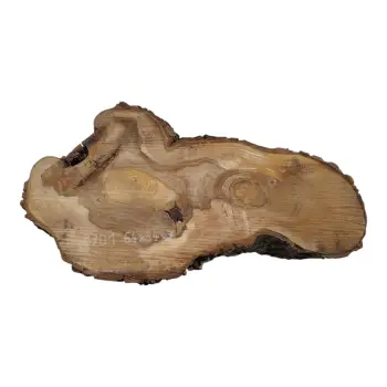 Plaster Orzecha Włoskiego 64x34x7cm