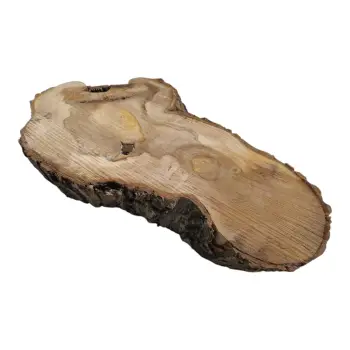 Plaster Orzecha Włoskiego 64x34x7cm