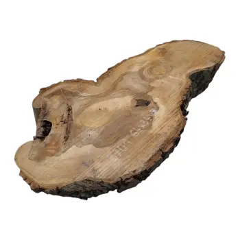 Plaster Orzecha Włoskiego 64x34x7cm