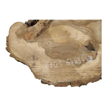 Plaster Orzecha Włoskiego 64x34x7cm