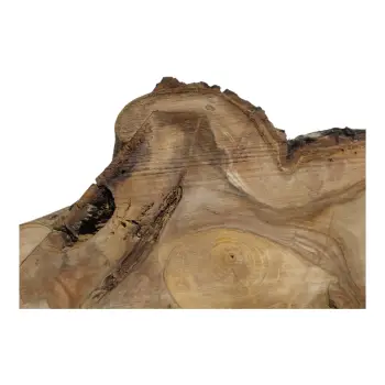 Plaster Orzecha Włoskiego 64x34x7cm