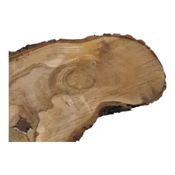 Plaster Orzecha Włoskiego 64x34x7cm