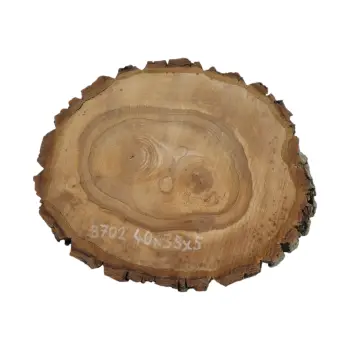 Plaster Orzecha Włoskiego 40x35x5cm