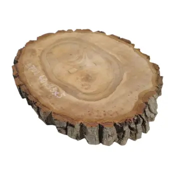 Plaster Orzecha Włoskiego 40x35x5cm