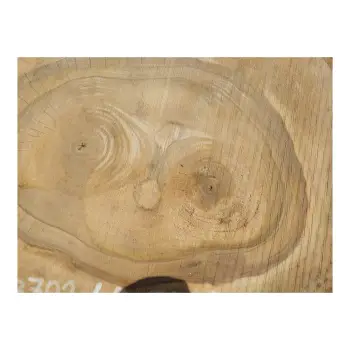 Plaster Orzecha Włoskiego 40x35x5cm