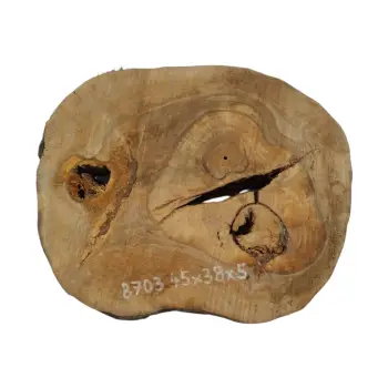 Plaster Orzecha Włoskiego 45x38x5cm