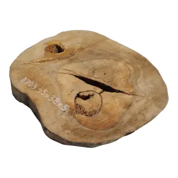 Plaster Orzecha Włoskiego 45x38x5cm