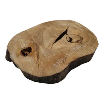 Plaster Orzecha Włoskiego 45x38x5cm