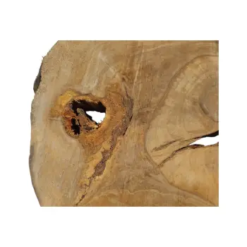 Plaster Orzecha Włoskiego 45x38x5cm