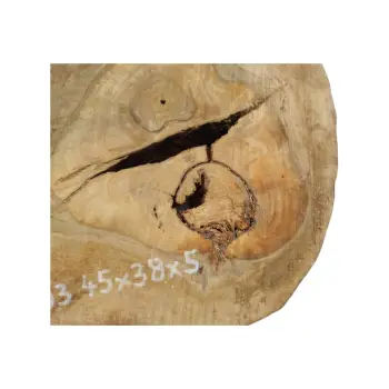 Plaster Orzecha Włoskiego 45x38x5cm