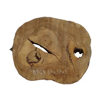 Plaster Orzecha Włoskiego 44x37x5cm