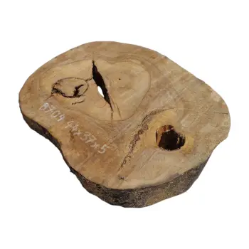 Plaster Orzecha Włoskiego 44x37x5cm