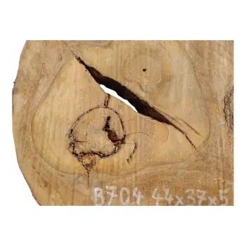 Plaster Orzecha Włoskiego 44x37x5cm