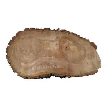 Plaster Orzecha Włoskiego 62x32x6cm