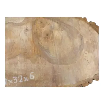 Plaster Orzecha Włoskiego 62x32x6cm