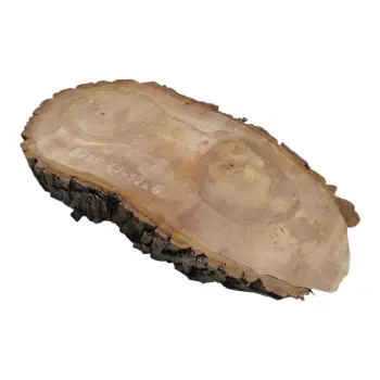 Plaster Orzecha Włoskiego 62x32x6cm