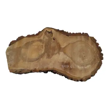 Plaster Orzecha Włoskiego 68x32x6,5cm