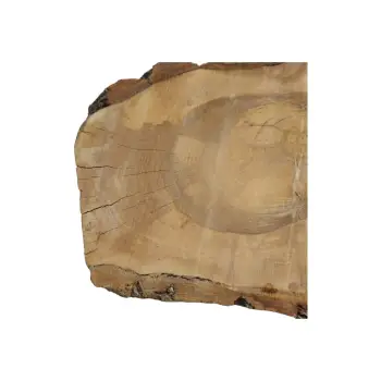 Plaster Orzecha Włoskiego 68x32x6,5cm