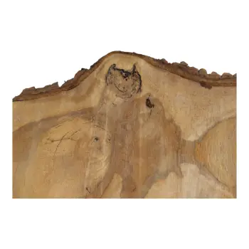 Plaster Orzecha Włoskiego 68x32x6,5cm