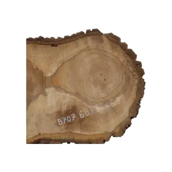 Plaster Orzecha Włoskiego 68x32x6,5cm