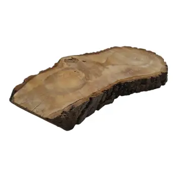 Plaster Orzecha Włoskiego 68x32x6,5cm