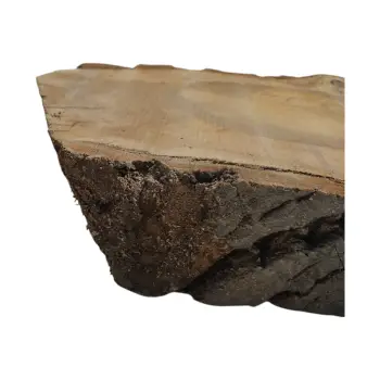 Plaster Orzecha Włoskiego 68x32x6,5cm