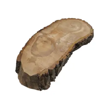 Plaster Orzecha Włoskiego 62x33x6cm