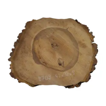 Plaster Orzecha Włoskiego 42x37x5cm