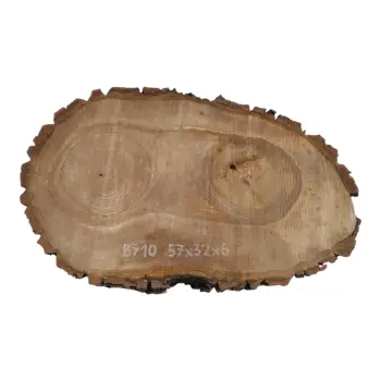 Plaster Orzecha Włoskiego 57x32x6cm